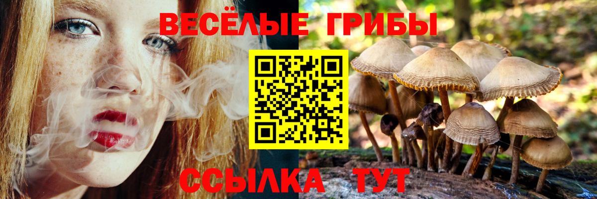 Псилоцибиновые грибы мицелий Северобайкальск