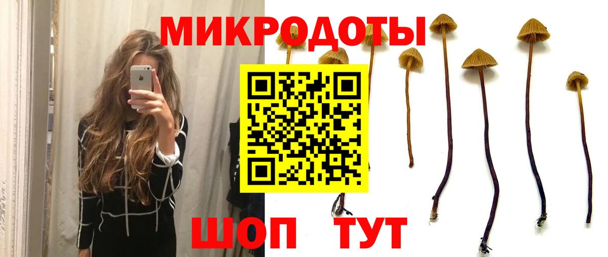 Галлюциногенные грибы ЛСД  где можно купить   Вход с VPN  Северобайкальск  Псилоцибиновые грибы MAGIC MUSHROOMS 